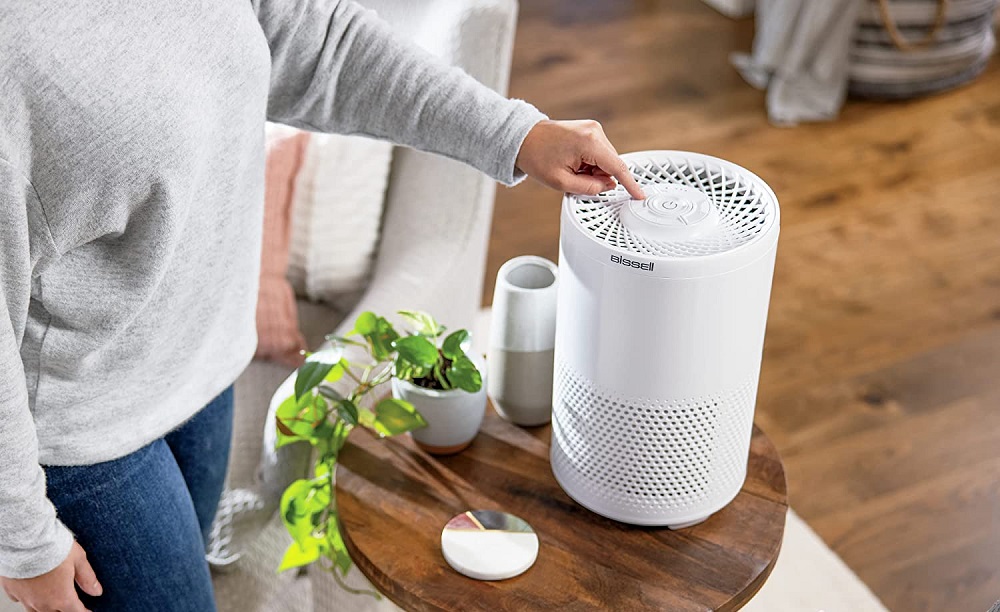 indoor air purifier and plants