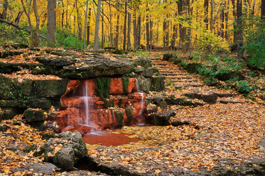 natural stone waterfall hidden between large trees with yellow and orange leaves