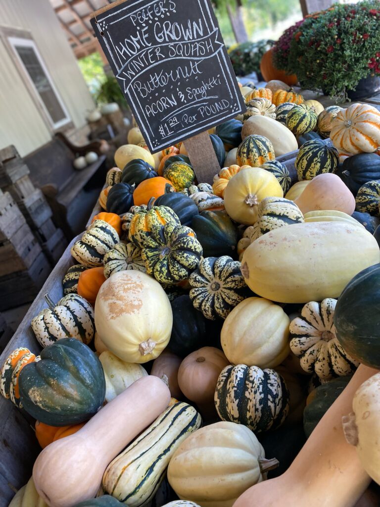 table full of different sized and shaped gourds. There is a sign on the table that says Home Grown Winter Squash. Butternut, Acorn & Spaghetti